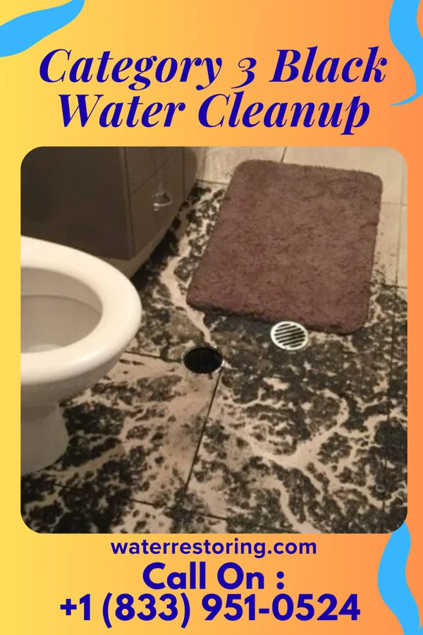 Category 3 Black Water Cleanup in Brookridge, FL